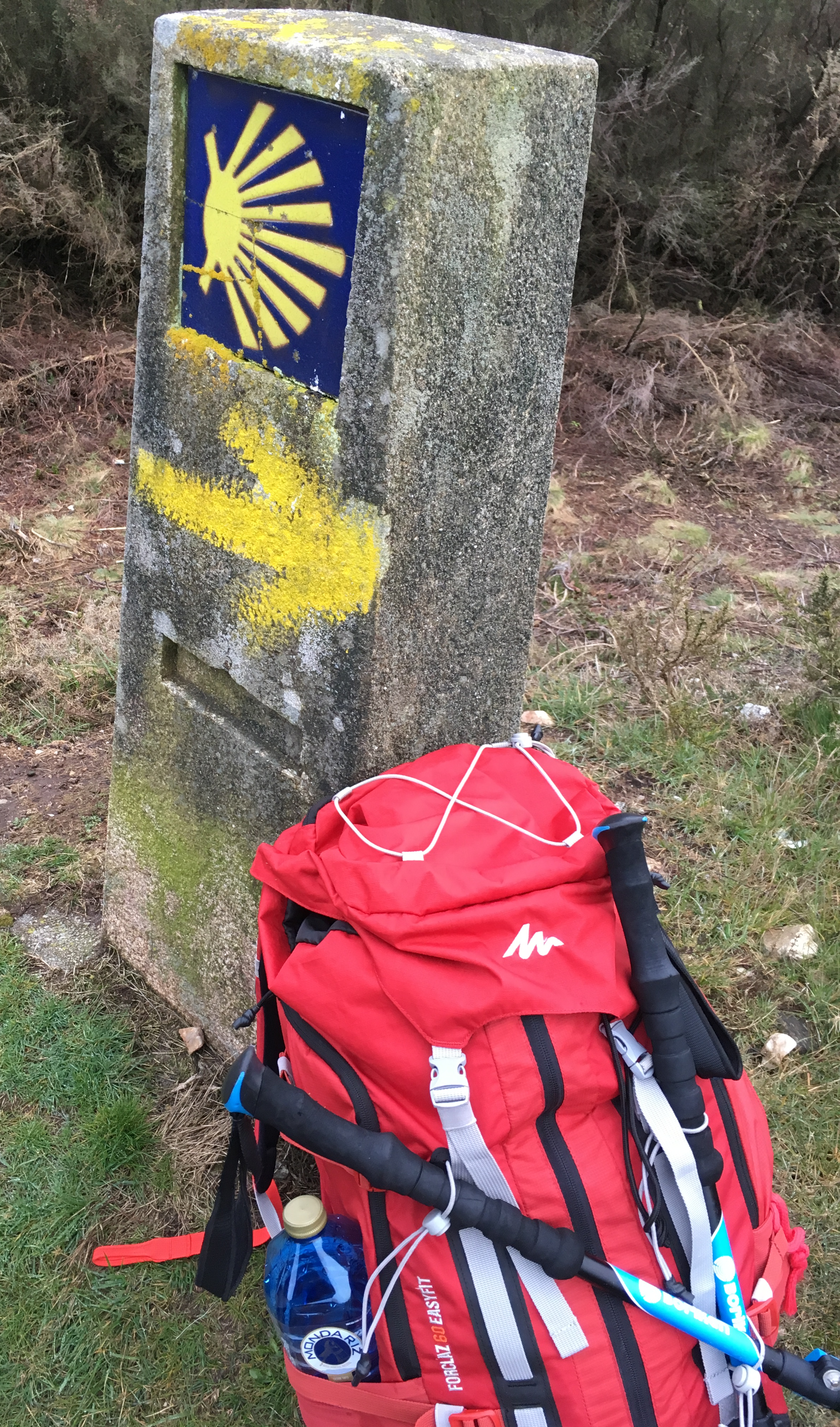 Camino de Santiago