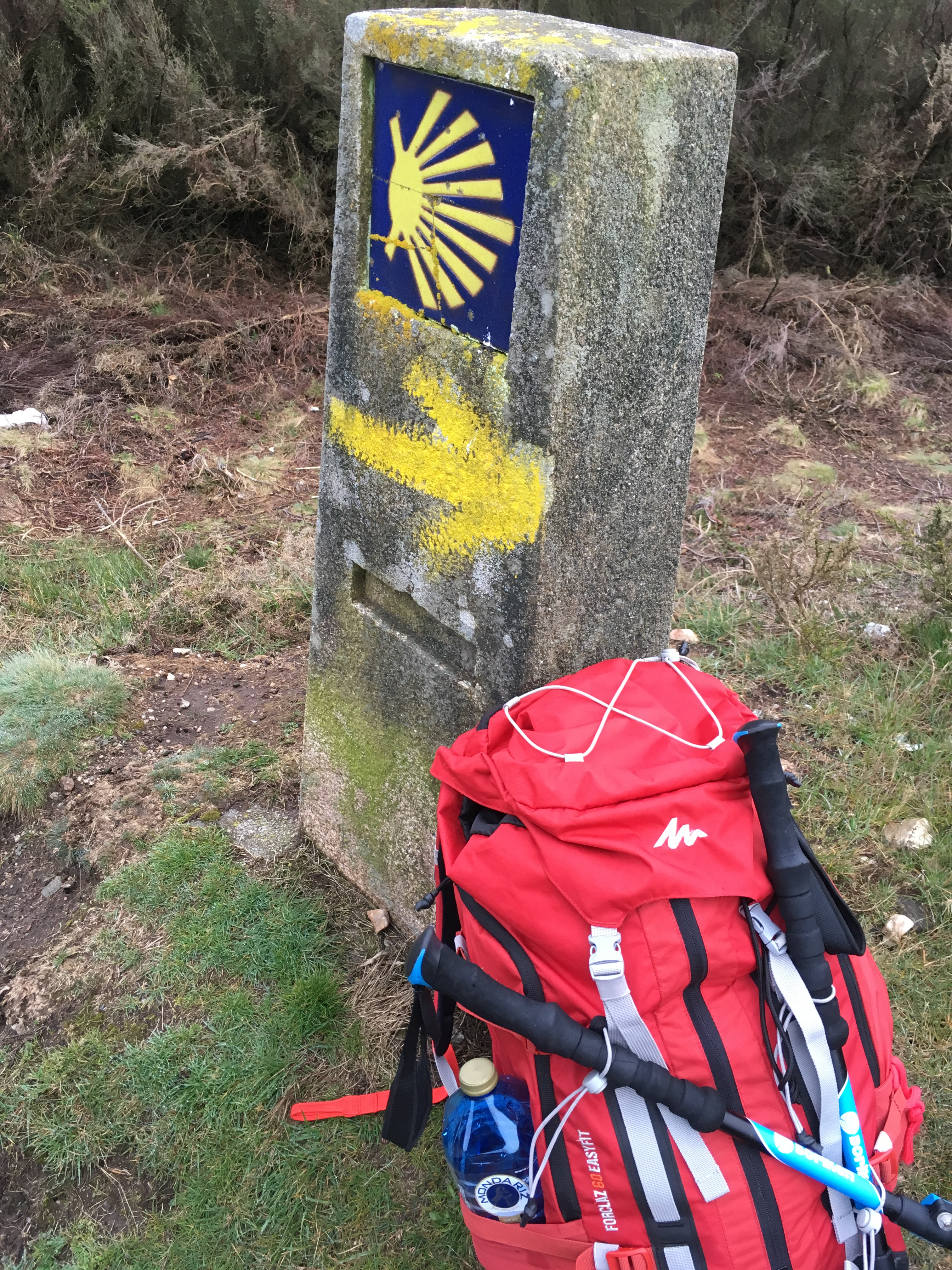 Camino de Santiago