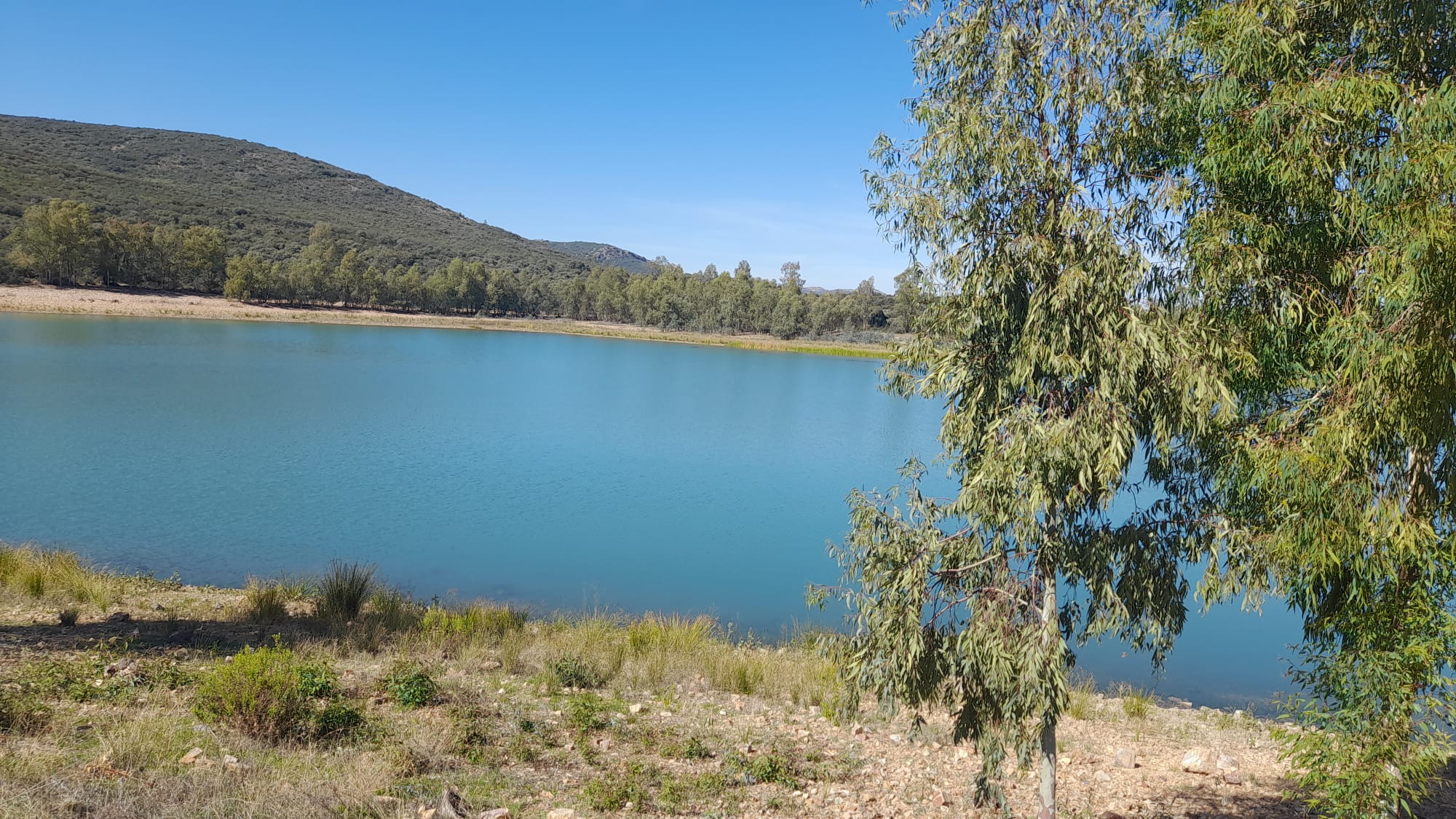 Pantano de Gasset.