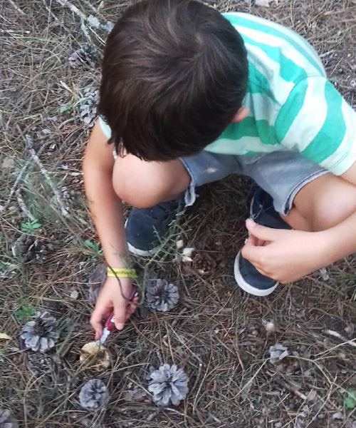 La micología, afición que se cultiva desde la infancia